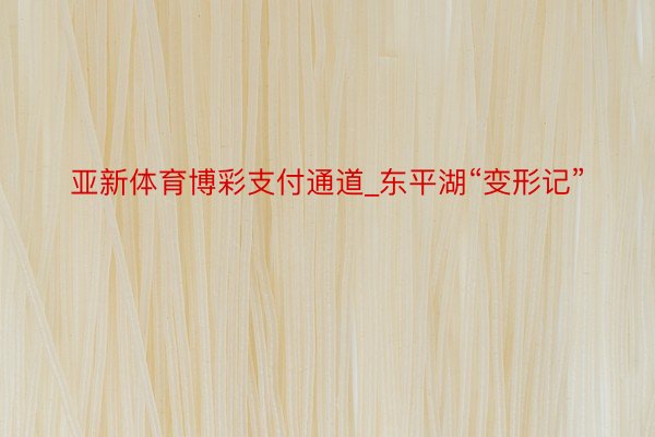 亚新体育博彩支付通道_东平湖“变形记”