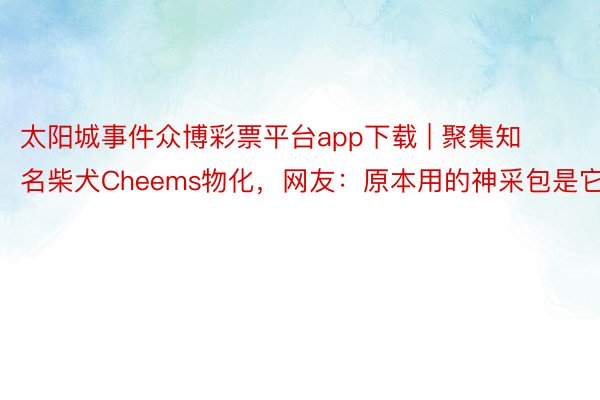 太阳城事件众博彩票平台app下载 | 聚集知名柴犬Cheem