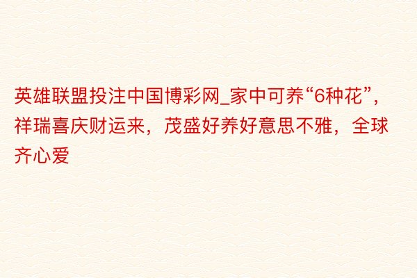 英雄联盟投注中国博彩网_家中可养“6种花”，祥瑞喜庆财运来，茂盛好养好意思不雅，全球齐心爱